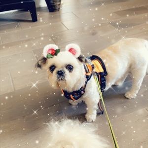 Meet your Posher, Maria